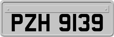 PZH9139