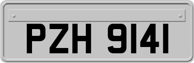 PZH9141