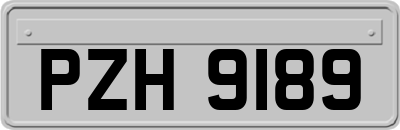 PZH9189