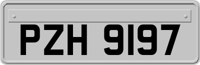 PZH9197