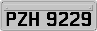 PZH9229