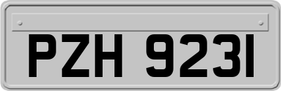 PZH9231