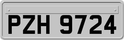 PZH9724