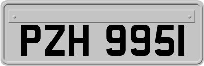 PZH9951