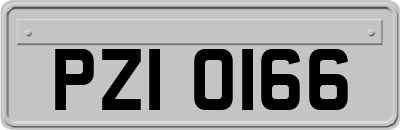 PZI0166