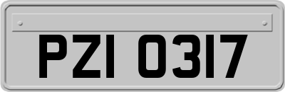 PZI0317