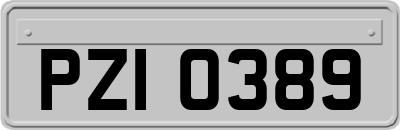 PZI0389