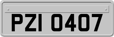 PZI0407