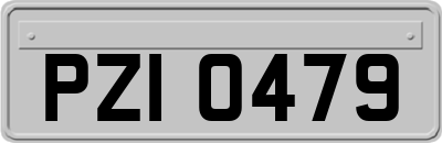 PZI0479