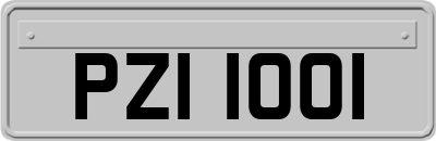 PZI1001