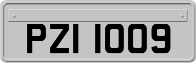 PZI1009
