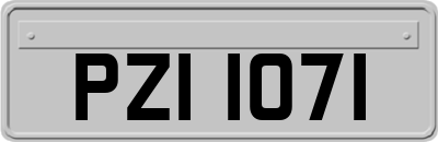 PZI1071