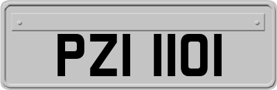 PZI1101