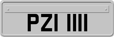 PZI1111