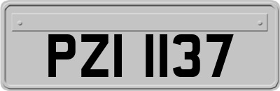 PZI1137