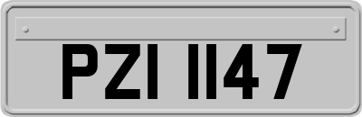 PZI1147