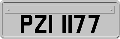 PZI1177