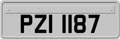 PZI1187