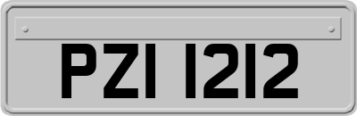 PZI1212