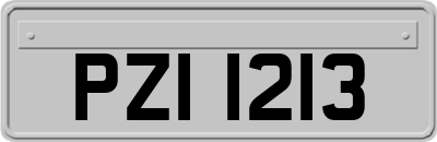 PZI1213