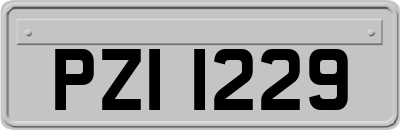 PZI1229