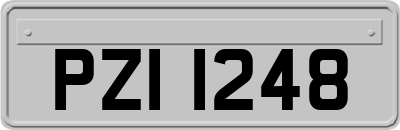 PZI1248