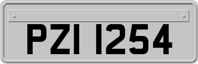 PZI1254