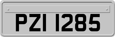 PZI1285