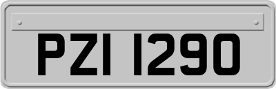 PZI1290