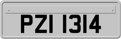 PZI1314