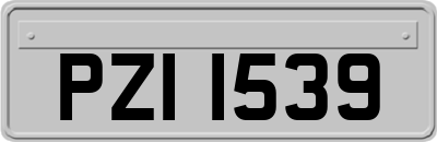 PZI1539