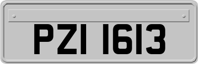 PZI1613