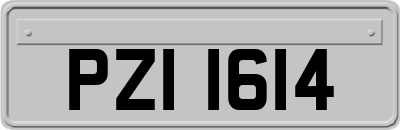 PZI1614