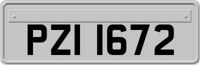 PZI1672