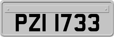 PZI1733