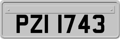 PZI1743