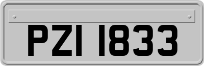 PZI1833