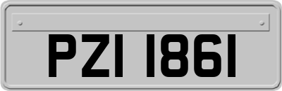 PZI1861