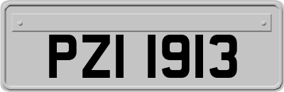 PZI1913