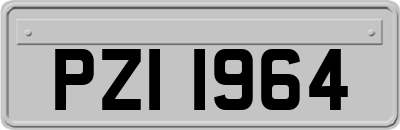 PZI1964