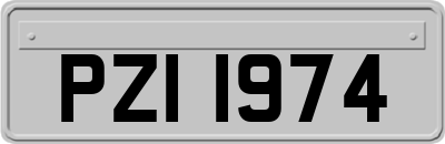 PZI1974