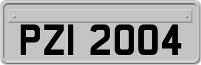 PZI2004