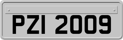 PZI2009