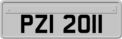 PZI2011