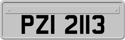 PZI2113