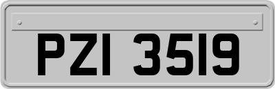 PZI3519