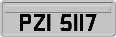 PZI5117