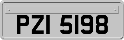 PZI5198