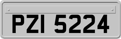 PZI5224