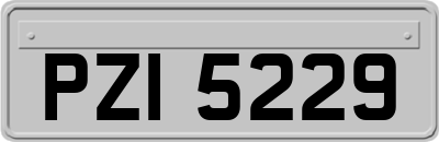 PZI5229